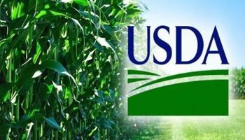 Expectativas en la previa a un nuevo informe del USDA