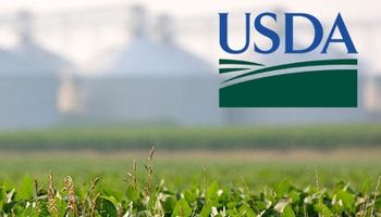 USDA: datos positivos para las cotizaciones de Chicago