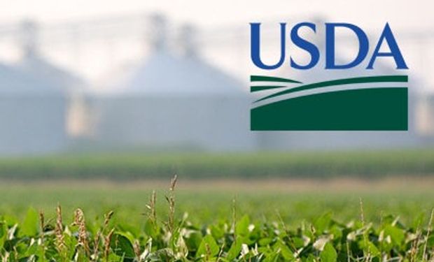 El mercado reaccionó con fuertes subas para soja y trigo ante los datos del USDA.