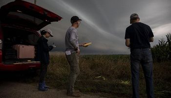 USDA: podría haber nuevas sorpresas para el precio de la soja y el maíz