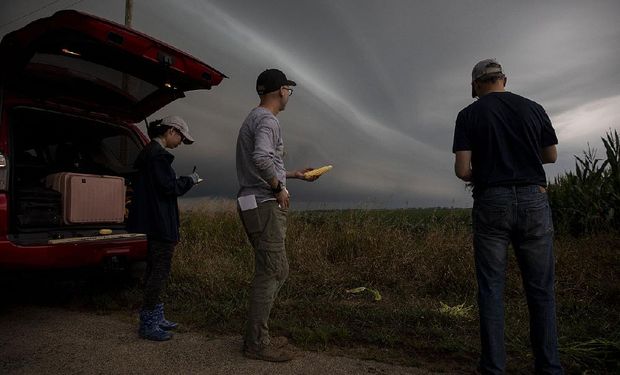 USDA: podría haber nuevas sorpresas para el precio de la soja y el maíz