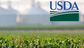 USDA: prevén mayores existencias en los Estados Unidos
