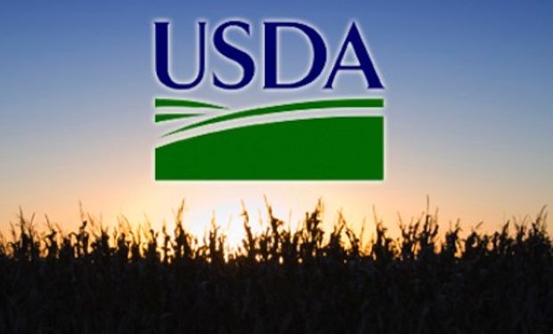 Primeros datos del USDA de febrero.