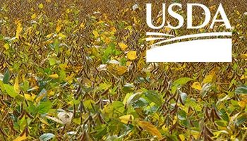 USDA de noviembre llegó con ajustes mayores a los esperados