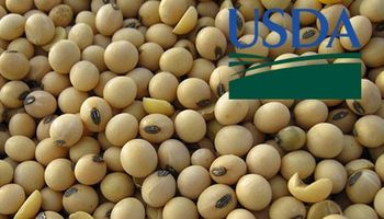 USDA de agosto: una oferta que inunda los mercados