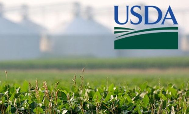 USDA: pocos ajustes pero con bajas en el mercado.