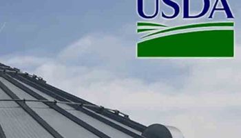 USDA: expectativas para el informe de septiembre