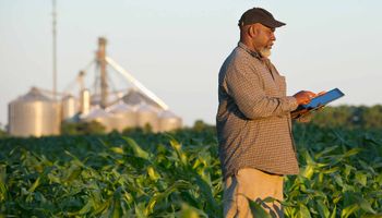 Outlook Forum: se reveló la estimación de producción de soja, trigo y maíz en Estados Unidos