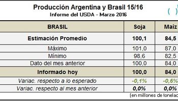 Mirá lo más destacado del Reporte del USDA presentado hoy