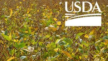 USDA: la estimación para Brasil sorprendió al mercado