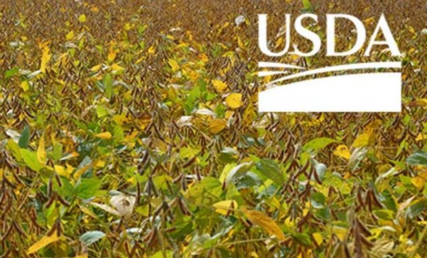 Primeros datos del USDA son bajistas en soja.