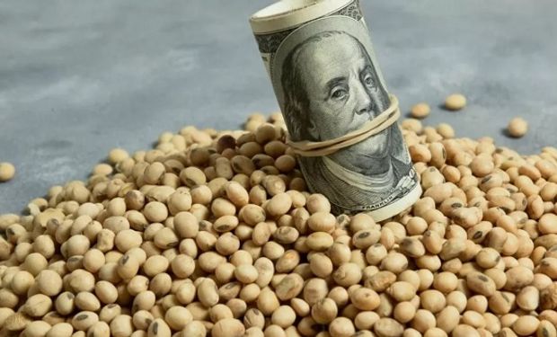 Lanzan dólar agro: Massa confirmó un dólar soja por 30 días y un dólar para economías regionales por tres meses