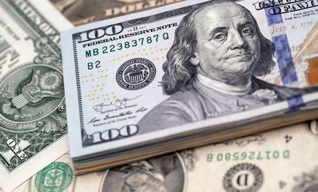Dólar blue y dólar hoy: cuál es la cotización del 17 de enero y cómo queda la brecha contra el Banco Nación