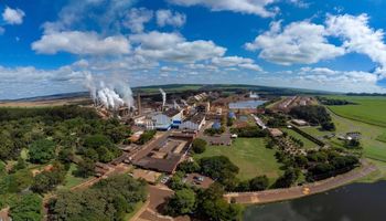 À prova de fogo: São Martinho engorda Ebitda na safra 2024/2025