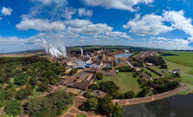 À prova de fogo: São Martinho engorda Ebitda na safra 2024/2025