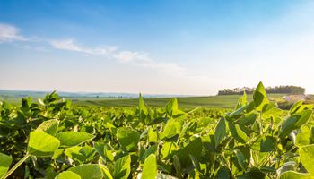 Uso de defensivos dispara e área protegida supera 2,6 bilhões de hectares no Brasil