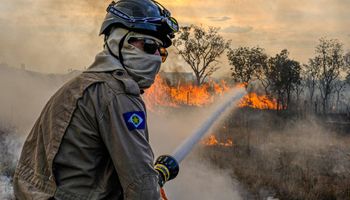 Quais os prazos de proibição de uso do fogo na Amazônia, Cerrado e Pantanal?