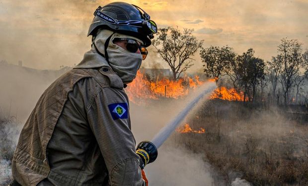 Quais os prazos de proibição de uso do fogo na Amazônia, Cerrado e Pantanal?