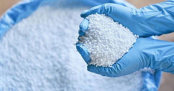 2025_fertilizantes