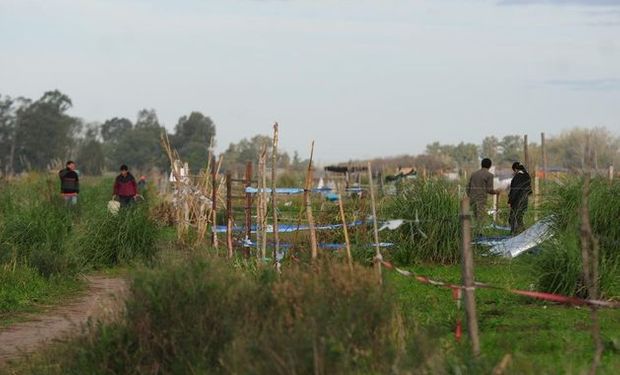 Mendoza: aprobaron la ley que quita beneficios sociales a quienes usurpen tierras públicas o privadas