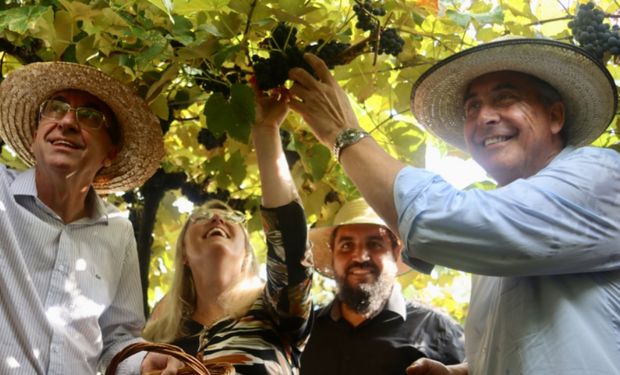 Solenidade de abertura da colheita foi realizada em Bento Gonçalves. (Foto - Julia Chagas/Ascom Seapi)