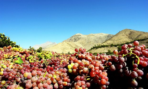 Frutas: suben precios por situación crítica en Cuyo