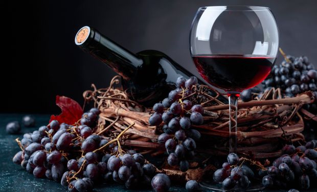 Minas Gerais reduz carga tributária para impulsionar produção de vinhos