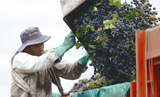 Aumentó más de un 50 % la exportación de vino y aseguran que es por el dólar competitivo