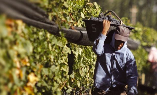 Economías regionales: productores anticipan pérdidas ante la imposibilidad de contar con trabajadores golondrinas