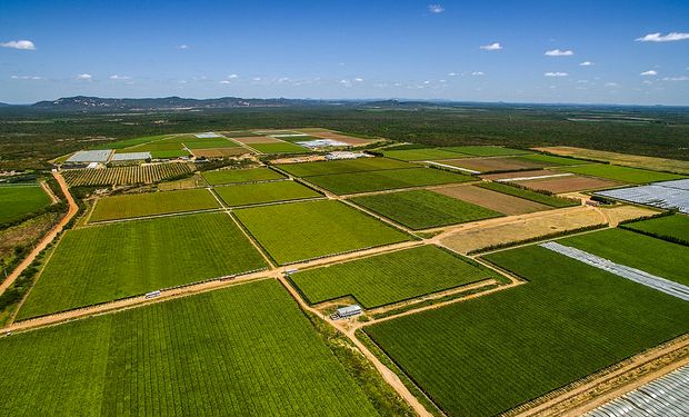 Telemetria minimiza custos e amplia produção de uvas