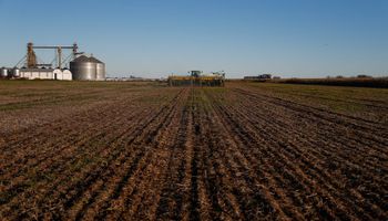 “Te recibís de empresario cuando comprás el primer campo”: los nombres que más producen en el agro argentino