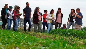 Mujeres y campo: cuántas son y cuánto ganan