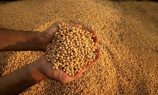 Alimentos 2030: la nueva demanda global abre una ventana para el agro argentino
