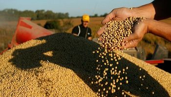 Productores destinaron US$ 5.200 millones de la venta de granos a la financiación