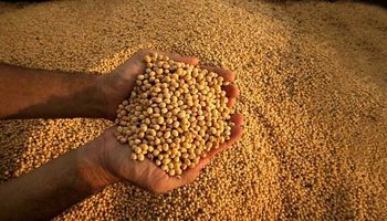 La fecha que se volvió "bisagra" en el mercado de granos: “Si tenés soja guardada y podés esperar, hacelo. El disponible no paga”