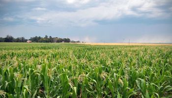 Alerta amarilla por tormenta: pronostican lluvias dispares que podrían dejar hasta 70 milímetros acumulados