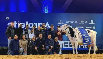 Vaca vence Agroleite com mais de 100 litros de leite em um dia