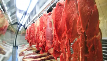Caso de "vaca louca" no Pará deve frear abates, diz especialista