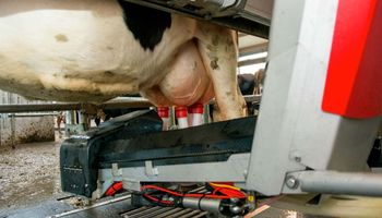 Pese a la crisis del sector, avanza en el país la instalación de tambos robots