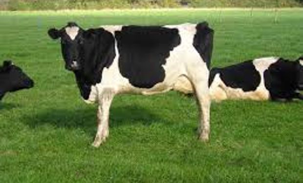La producción de leche crece lentamente