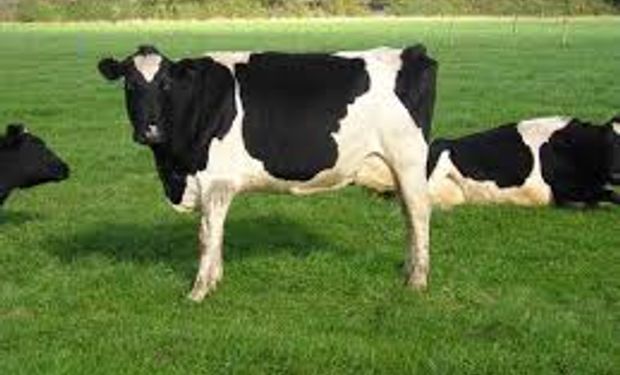 Agricultura dio $ 11 millones al sector lácteo