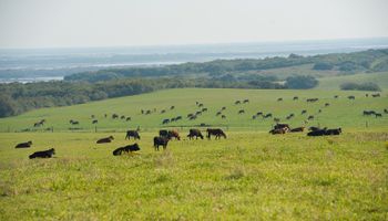 Destacan que el futuro del negocio agropecuario estará marcado por los nuevos consumos y el agregado de valor