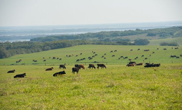 Destacan que el futuro del negocio agropecuario estará marcado por los nuevos consumos y el agregado de valor