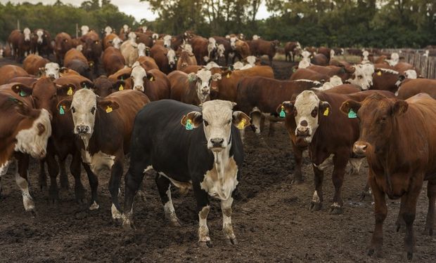 US$ 50.000: se concretó la primera transacción y pago 100% digital de hacienda