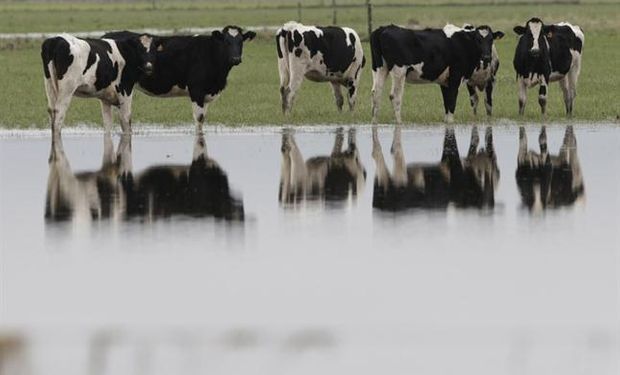 El promedio anual de lluvias en esta zona es de mil milímetros pero en sólo una semana cayeron 300 milímetros.