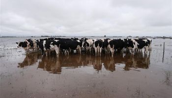Máximo riesgo: el clima cada vez más extremo es la nueva regla de juego para producir