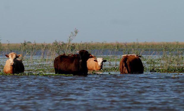 El drama de las inundaciones.