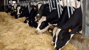 La devaluación jugó en contra