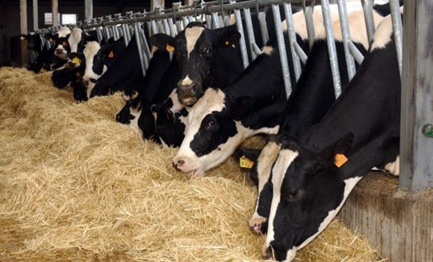 La devaluación jugó en contra