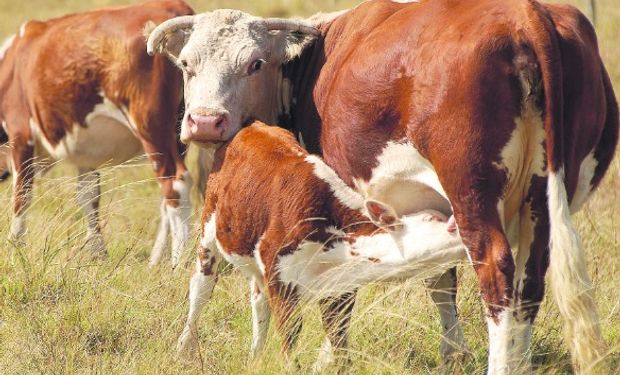 Este año hubo interés por este tipo de negocios.